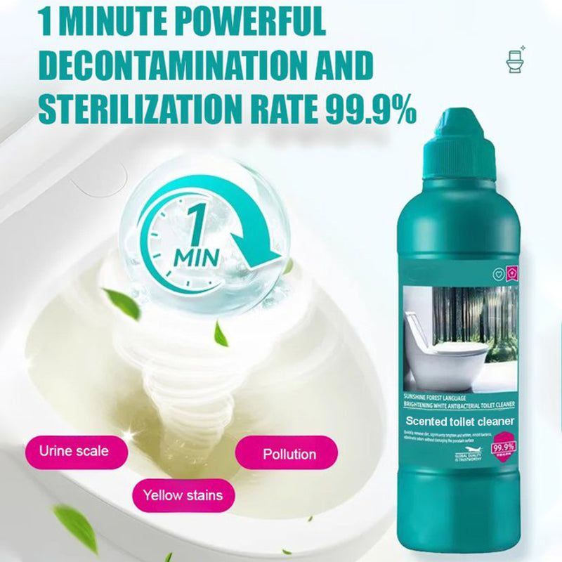 Fragrant Toilet Cleaning Gel – Thick Formula with Nozzle