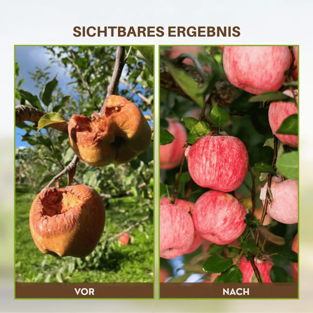 Soil Activator Powder – Potassium Mineral Complex for All Soil Types