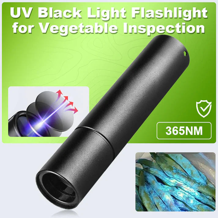 365 nm UV Flashlight – Compact Blacklight for Home Use