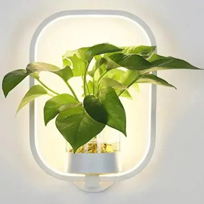 LED Plant Wall Light with Glass Vase – Round & Oval