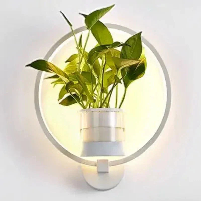 LED Plant Wall Light with Glass Vase – Round & Oval